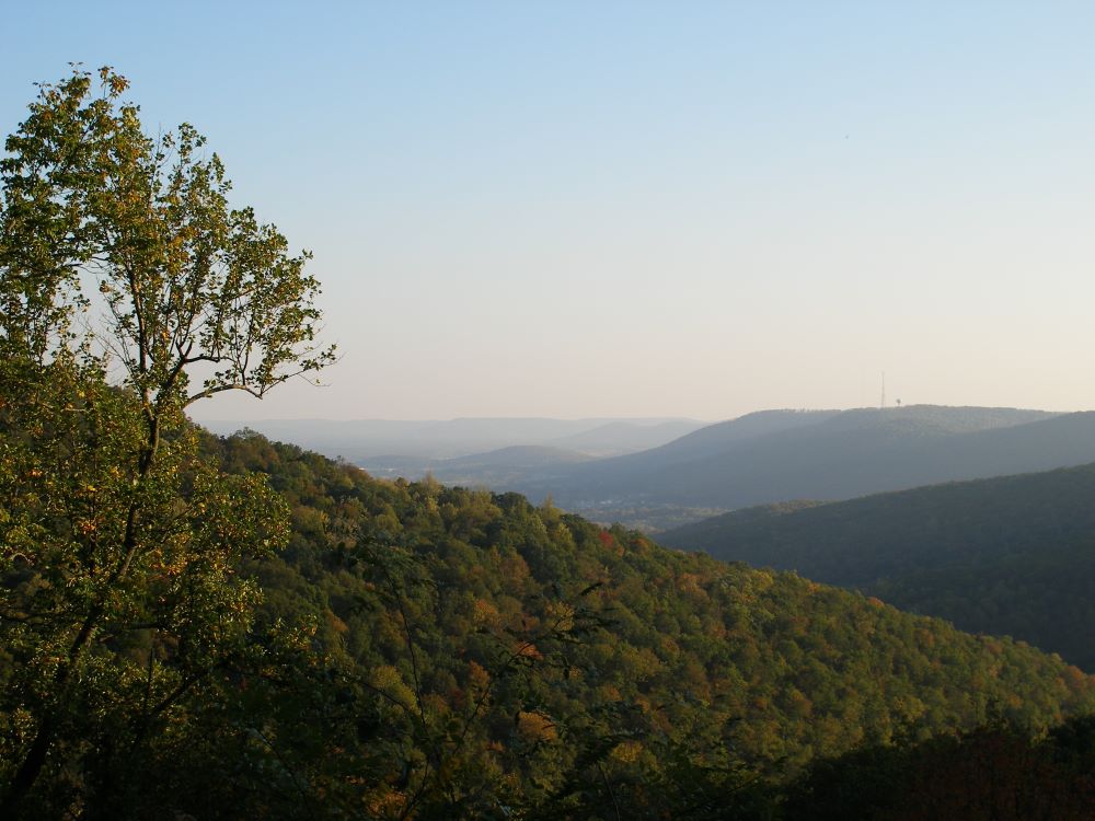 Vestavia Hills Property Managers